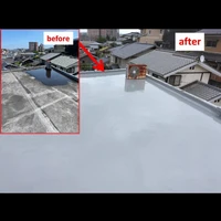 画像242